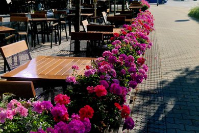 Garden restaurant in the park